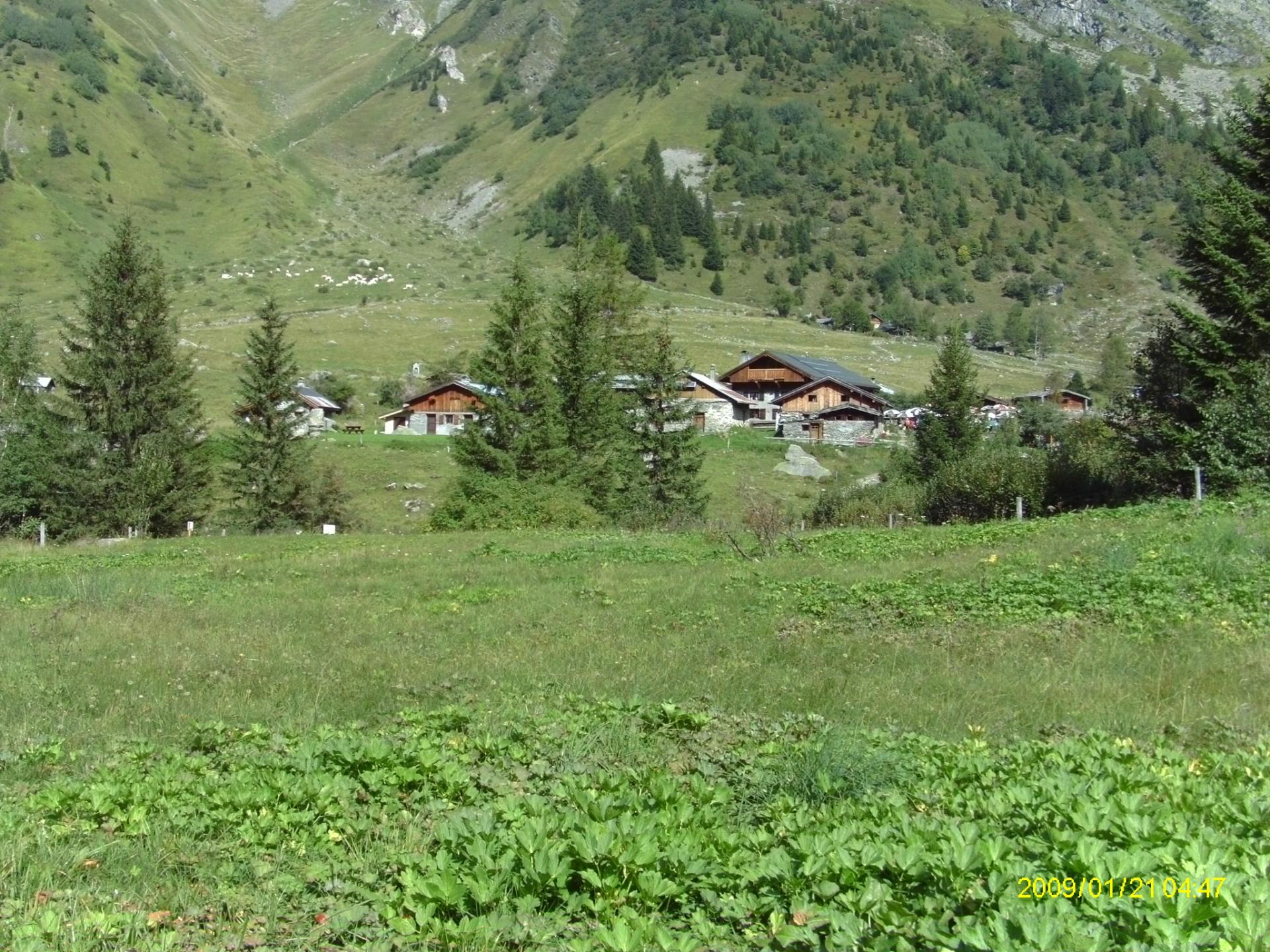 Chalets de Miage J1